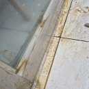 나주하나약국 이미지