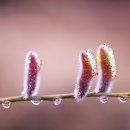 머믄자리 이미지