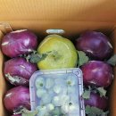 운양농장 이미지