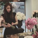카타리나플라워