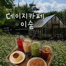 천안 성거 데이지카페 이숲 방문후기 개화현황