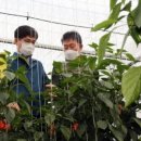 설향이야기 이미지