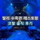 행복수족관 | 발리 여행 : 발리 수족관 레스토랑 코랄 후기