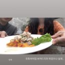 하늘맑음인테리어 | 페루 여행 2 / 오늘 아레키파는 하루종일 맑음 🌞