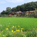 황토흙펜션 꿈의대화 이미지