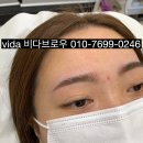 비다브로우