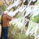 오곡 구성 이미지