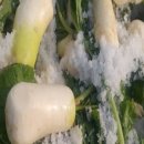 정가네김치 이미지