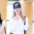리즈 이미지
