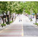 덕진-128 이미지