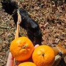 법환동-19 이미지