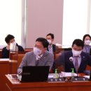 다분