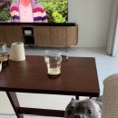 육사시미 콘서트 3 이미지