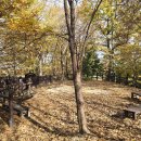 원당산공원 이미지