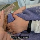 그린펫동물병원 이미지