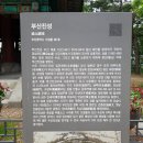 두송작은도서관 | 부산진성_ 자성대, 증산성, 근대역사 유적&amp;아미산 응봉봉수대 20210511 화