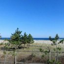 동호민박 이미지