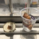 쥬씨 주식회사 이미지