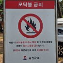 옹암해수욕장 야영장 이미지