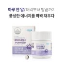더가득 이미지