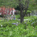 신동수변 이미지