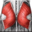 어라이브 피트니스 이미지