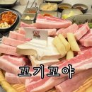 꼬야애견 | 대구 달서구 월성동 맛집 꼬기꼬야 실내애견동반식당