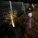 도구로1길 75 | 평택 현덕면 펜션 태평천하펜션, 넓은 마당에서 즐기는 힐링 촌캉스 후기💛