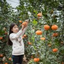 규리농장 이미지