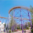 한울태권도교육관 이미지