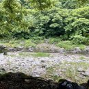 구나무촌 유원지 이미지