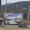 귀 건강학(이혈테라피) | [세종] 제1회 부강포구 역사·문화축제 현장! '귀로 전하는 휴식' 이혈테라피 부스 운영 후기