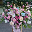 둔산중로-8 이미지