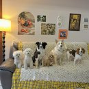 스텔라의 행복정원 이미지