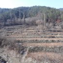 지만농장 이미지