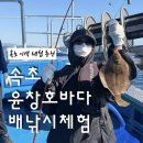 고성바다배낚시체험 | 시간 삭제되는 몸만 가면 되는 바다 배낚시 체험 후기 ‘속초윤창호바다배낚시체험’ 꿀팁까지 !