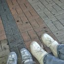 비원장 여관 | [공지] 🌡히카루보다 내가 먼저 죽은 여름