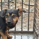 영인면 토정로 이미지