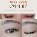 참아이래쉬