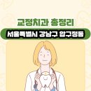 서울특별시 강남구 압구정동 교정치과 총정리