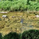 CU(안양예술공원점) 이미지