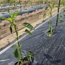 방아다리쉼터1 이미지