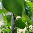 별샘농장 이미지