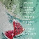 보리사랑
