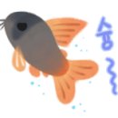 도담이네 이미지