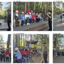 방배느티나무쉼터 이미지