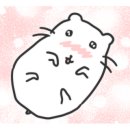 에프.알바이크