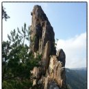 지에스25광양매화 이미지