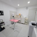 이쁘면다냥 이미지