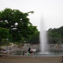 울산대공원 장미 축제 이미지